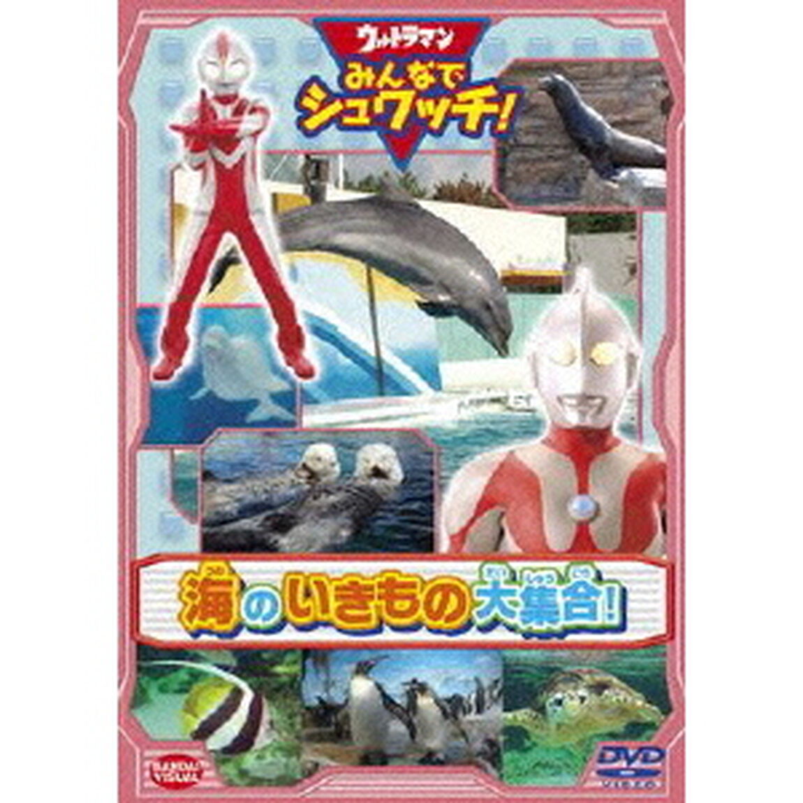 ウルトラマン　みんなでシュワッチ！海のいきもの大集合！（ＤＶＤ）