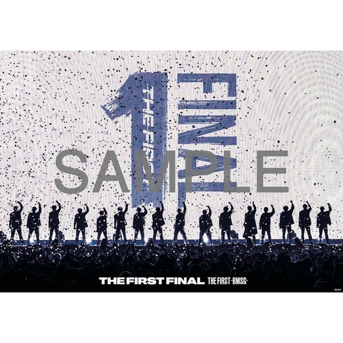 THE FIRST -BMSG-／THE FIRST FINAL DVD＜外付特典：B3サイズポスター＞（ＤＶＤ）