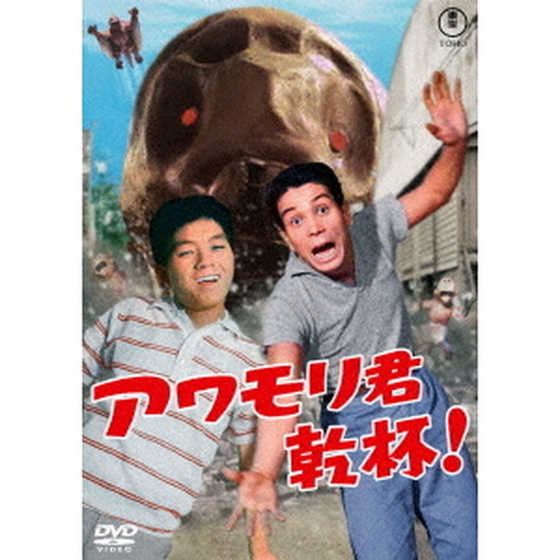 アワモリ君乾杯！（ＤＶＤ）