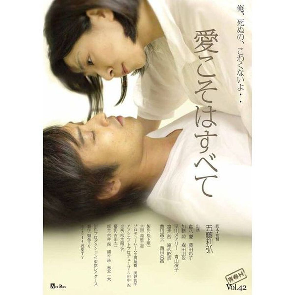 愛こそはすべて（ＤＶＤ）