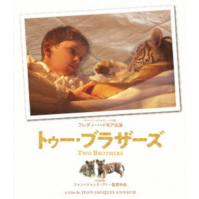 トゥー・ブラザーズ　≪スペシャル・プライス版≫（Ｂｌｕ－ｒａｙ　Ｄｉｓｃ）