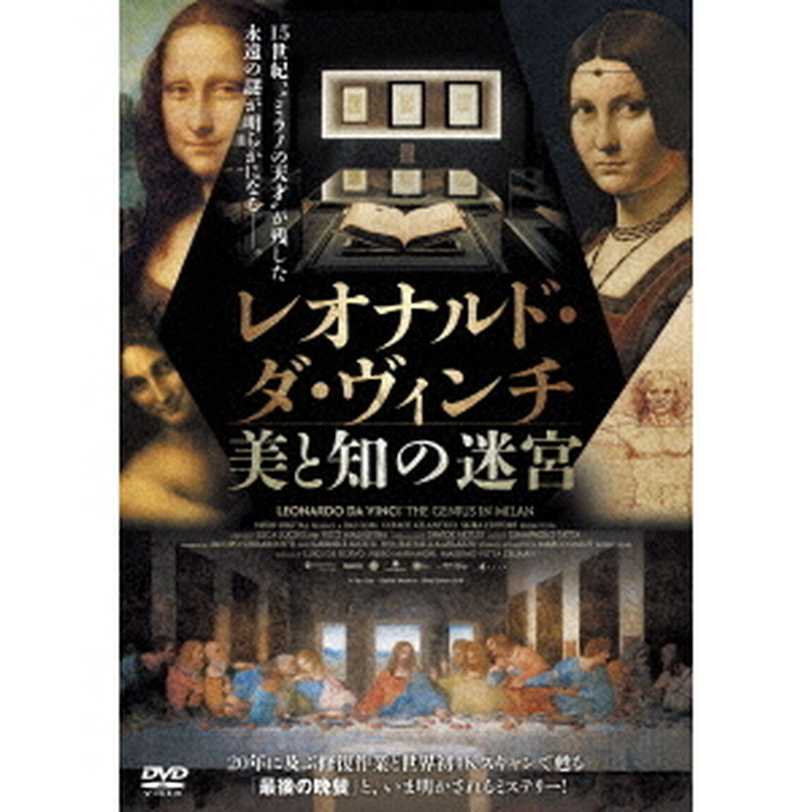 レオナルド・ダ・ヴィンチ　美と知の迷宮（ＤＶＤ）