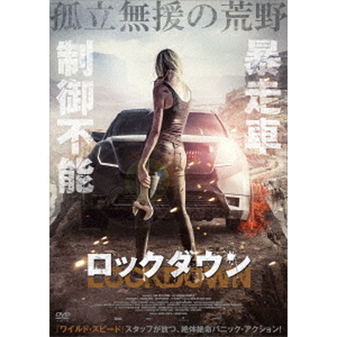 LOCKDOWN　ロックダウン（ＤＶＤ）