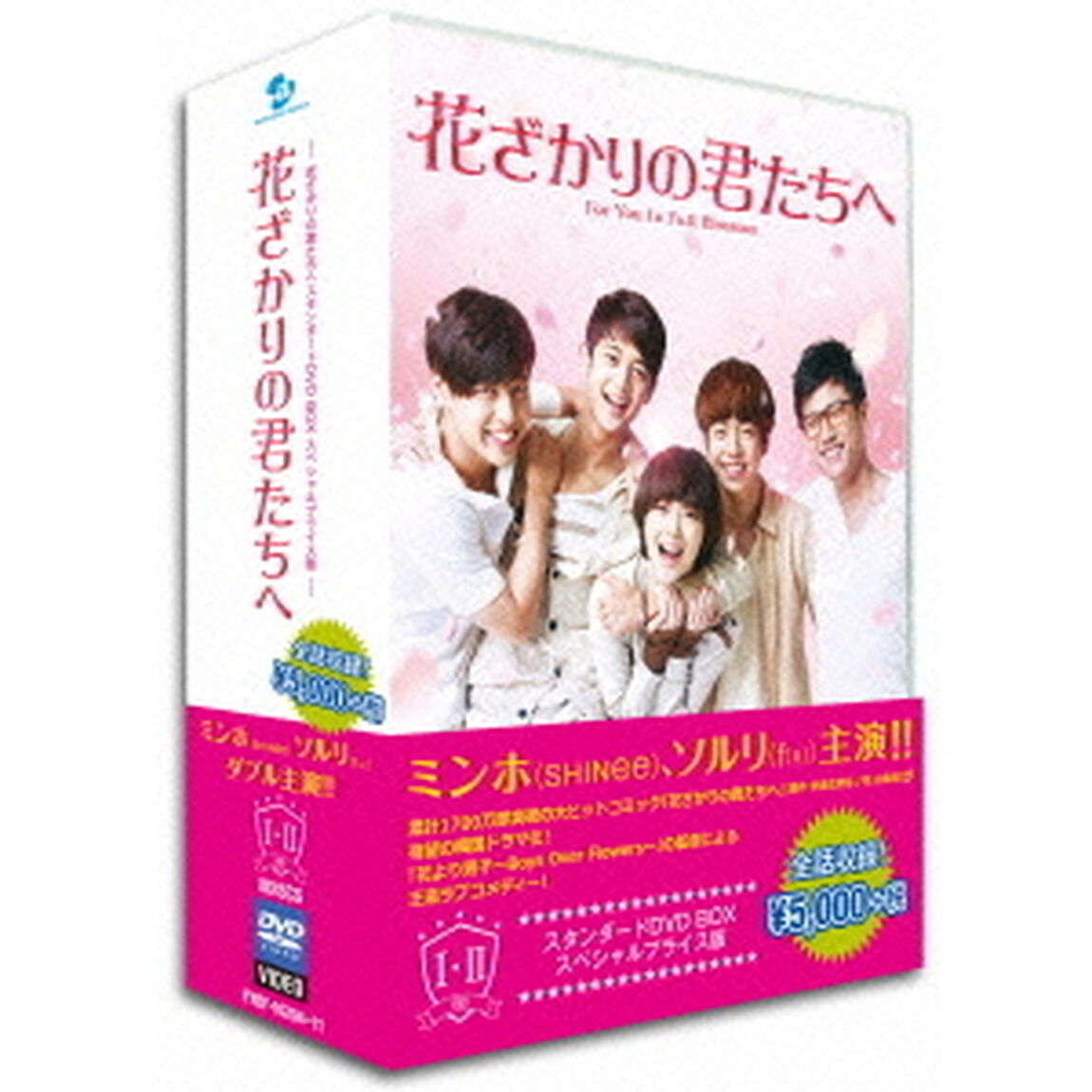 花ざかりの君たちへスタンダードDVD　BOX（ＤＶＤ）