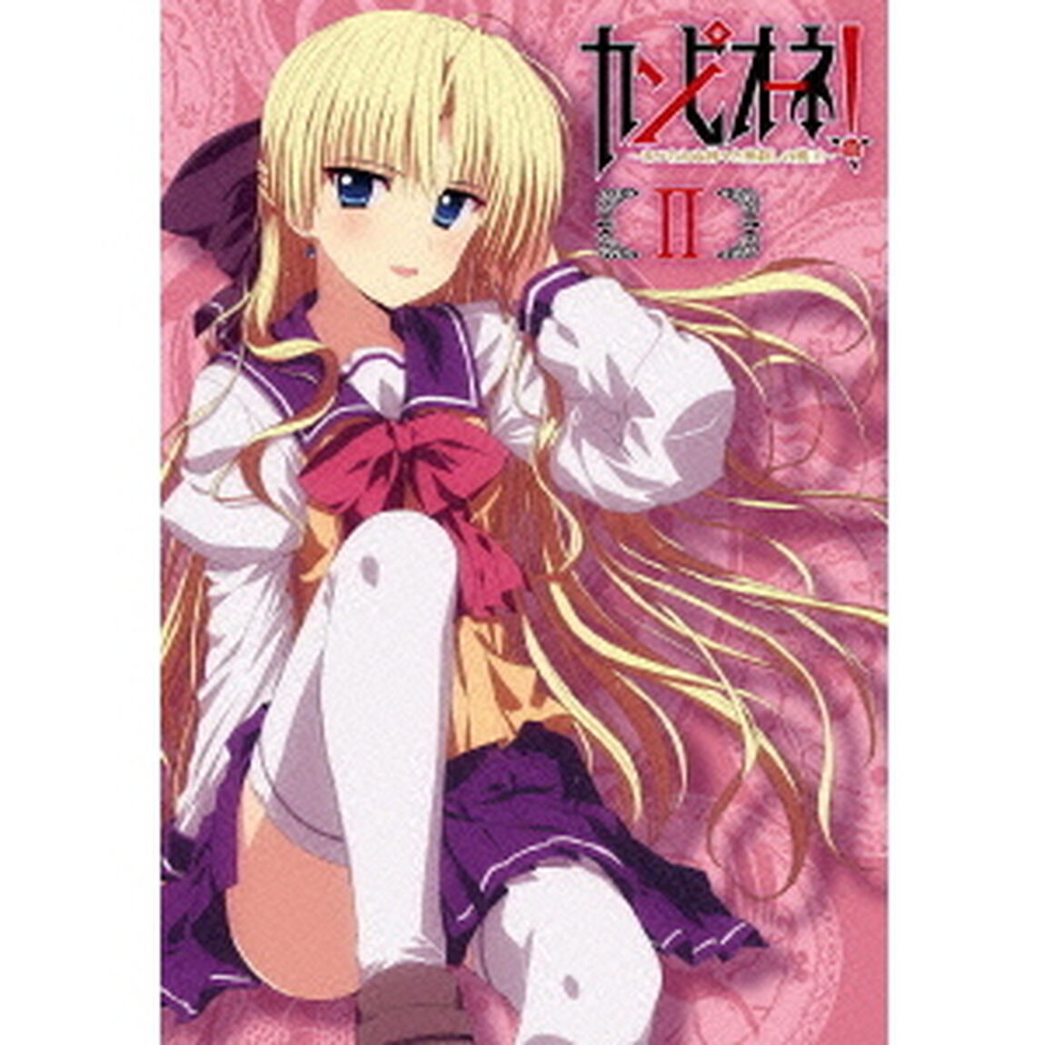 カンピオーネ！〜まつろわぬ神々と神殺しの魔王〜　2（Ｂｌｕ－ｒａｙ　Ｄｉｓｃ）