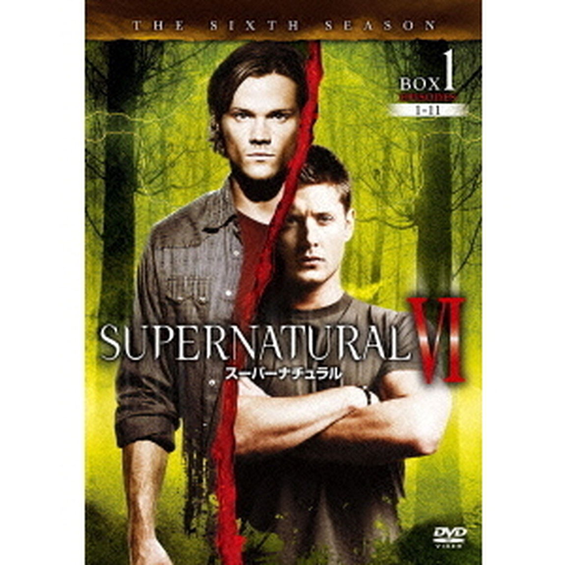 SUPERNATURAL　Ⅵ　スーパーナチュラル　＜シックス・シーズン＞　コンプリート・ボックス（ＤＶＤ）