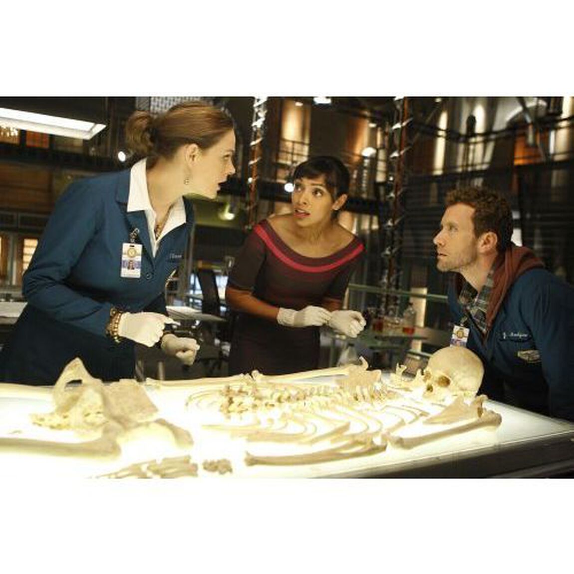 BONES－骨は語る－　シーズン5　SEASONS　コンパクト・ボックス（ＤＶＤ）