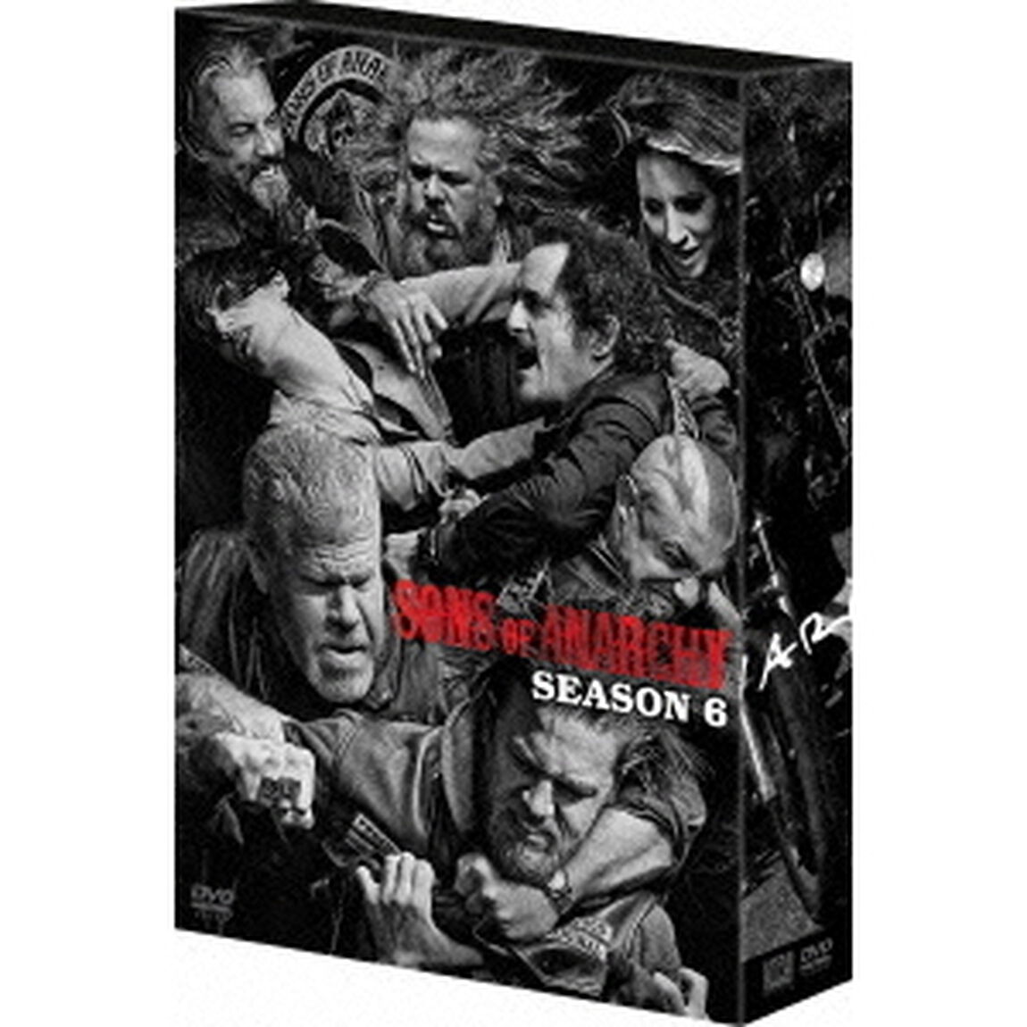 サンズ・オブ・アナーキー　シーズン6　DVDコレクターズBOX（ＤＶＤ）