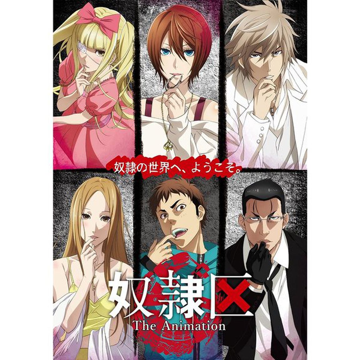 奴隷区 The Animation 5巻（ＤＶＤ）