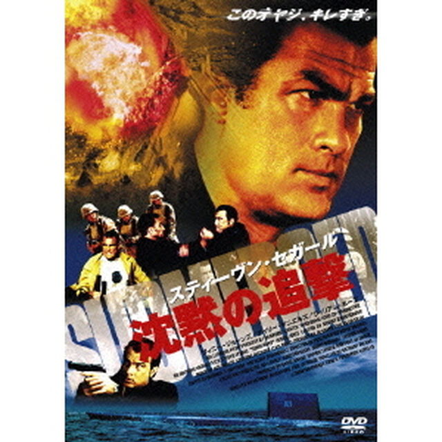 スティーヴン・セガール 沈黙の追撃 特別版（ＤＶＤ）