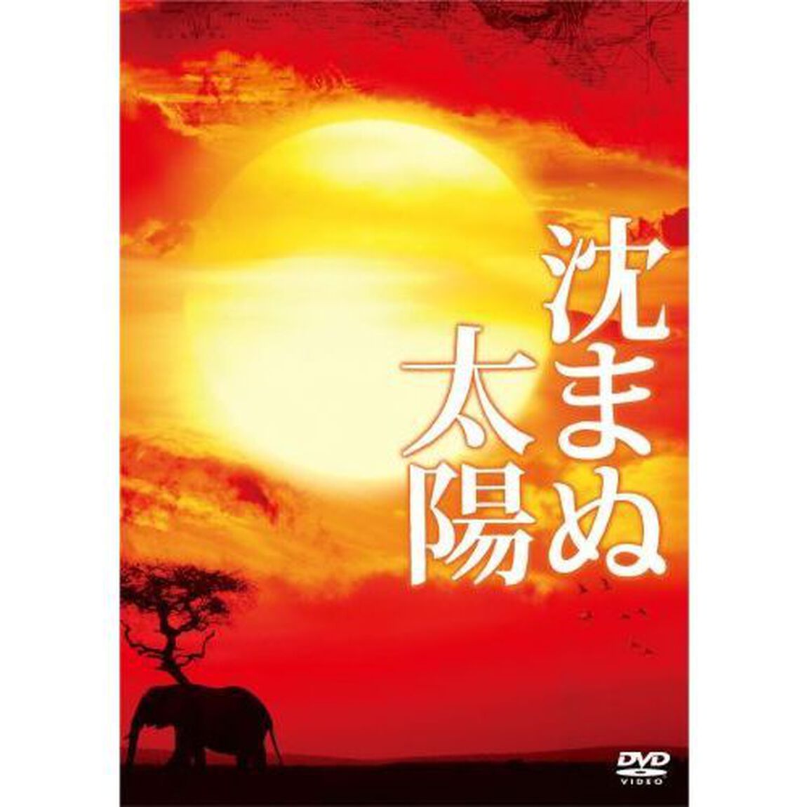 沈まぬ太陽　スペシャル・エディション（ＤＶＤ）