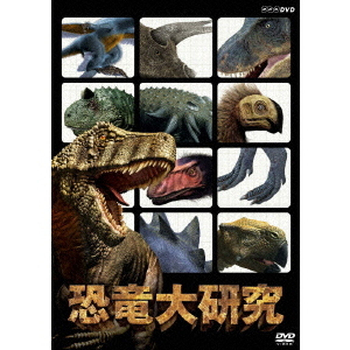 恐竜大研究（ＤＶＤ）