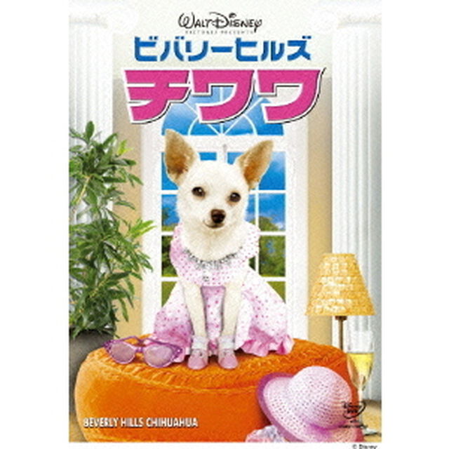 ビバリーヒルズ・チワワ（ＤＶＤ）