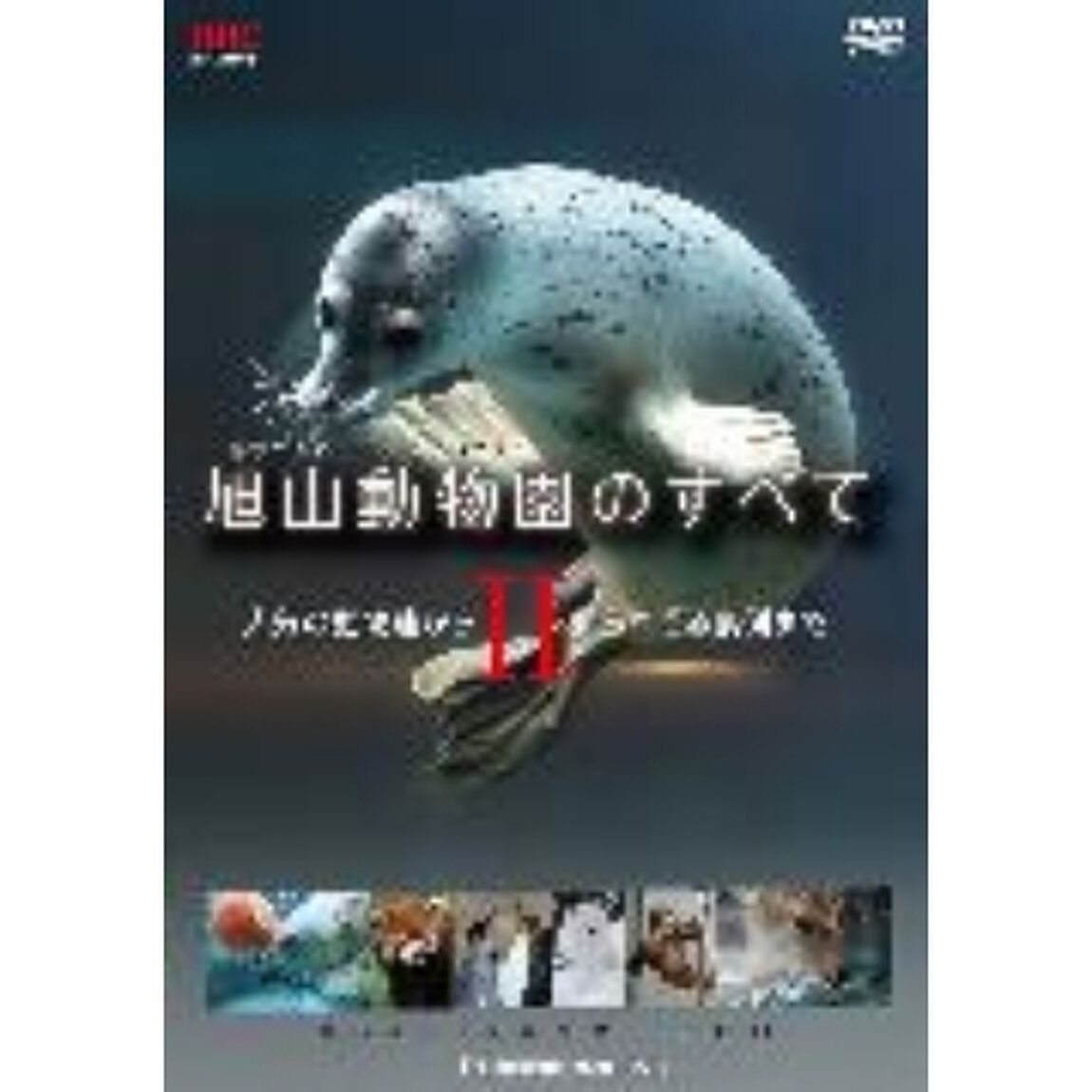旭山動物園のすべてⅡ〜人気の動物達から知られざる裏側まで〜（ＤＶＤ）