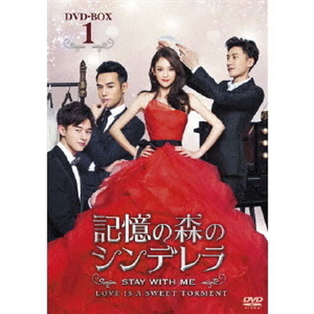 記憶の森のシンデレラ 〜STAY WITH ME〜 DVD-BOX 1（ＤＶＤ）