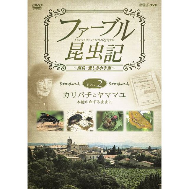 ファーブル昆虫記　カリバチとヤママユ　本能の命ずるままに（ＤＶＤ）