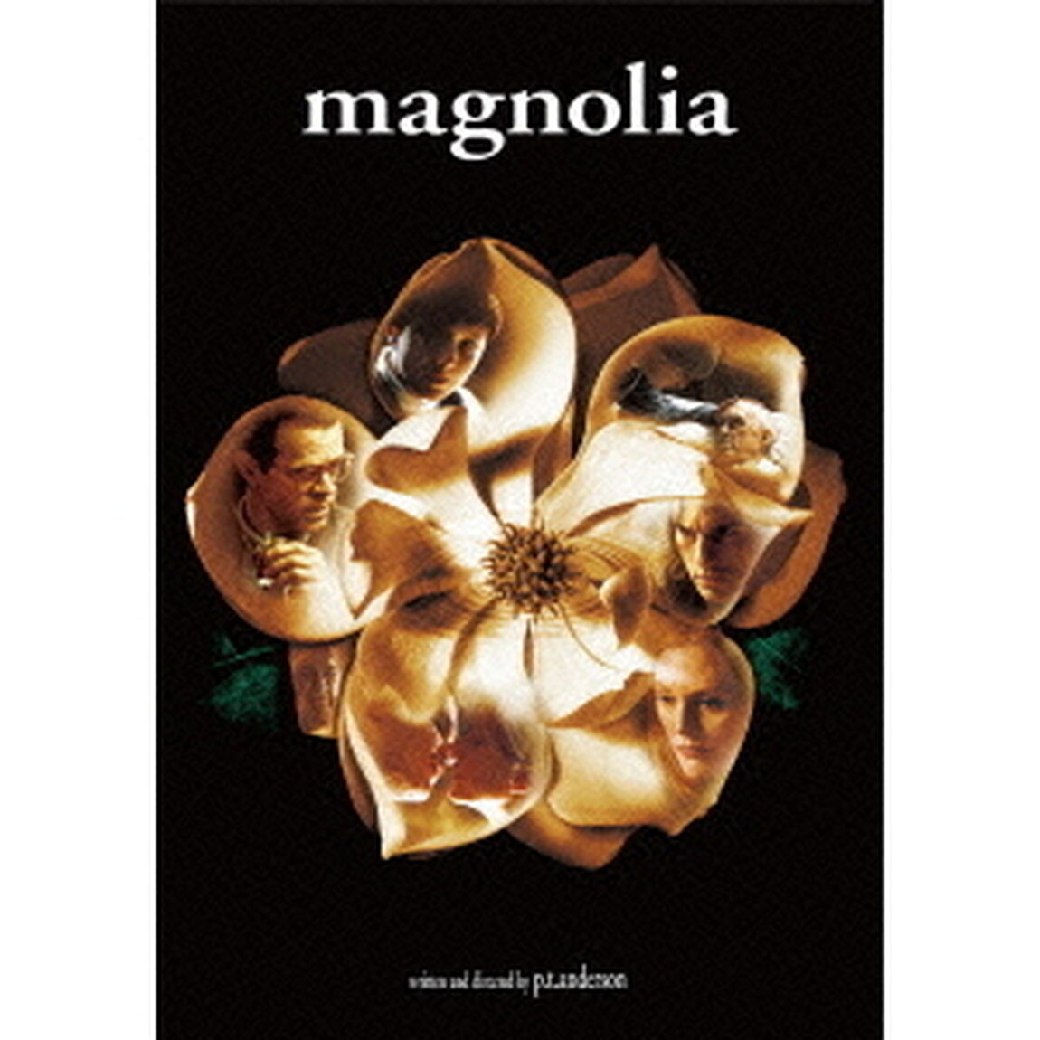 マグノリア（ＤＶＤ）