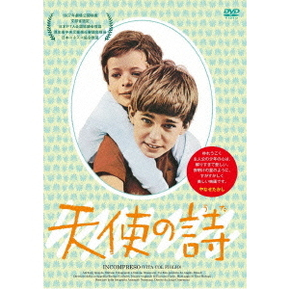 天使の詩（ＤＶＤ）