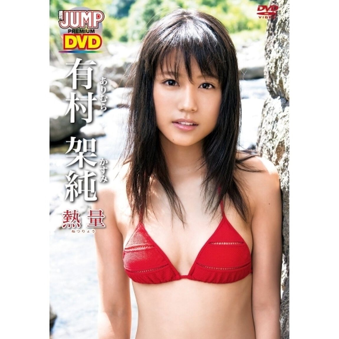 熱量（ＤＶＤ）