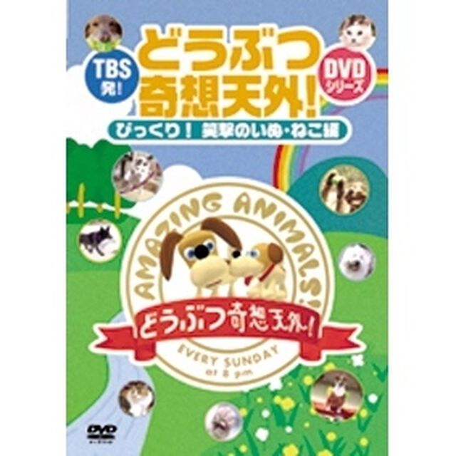 TBS発！「どうぶつ奇想天外！」DVDシリーズ びっくり！笑撃のいぬ・ねこ編（ＤＶＤ）