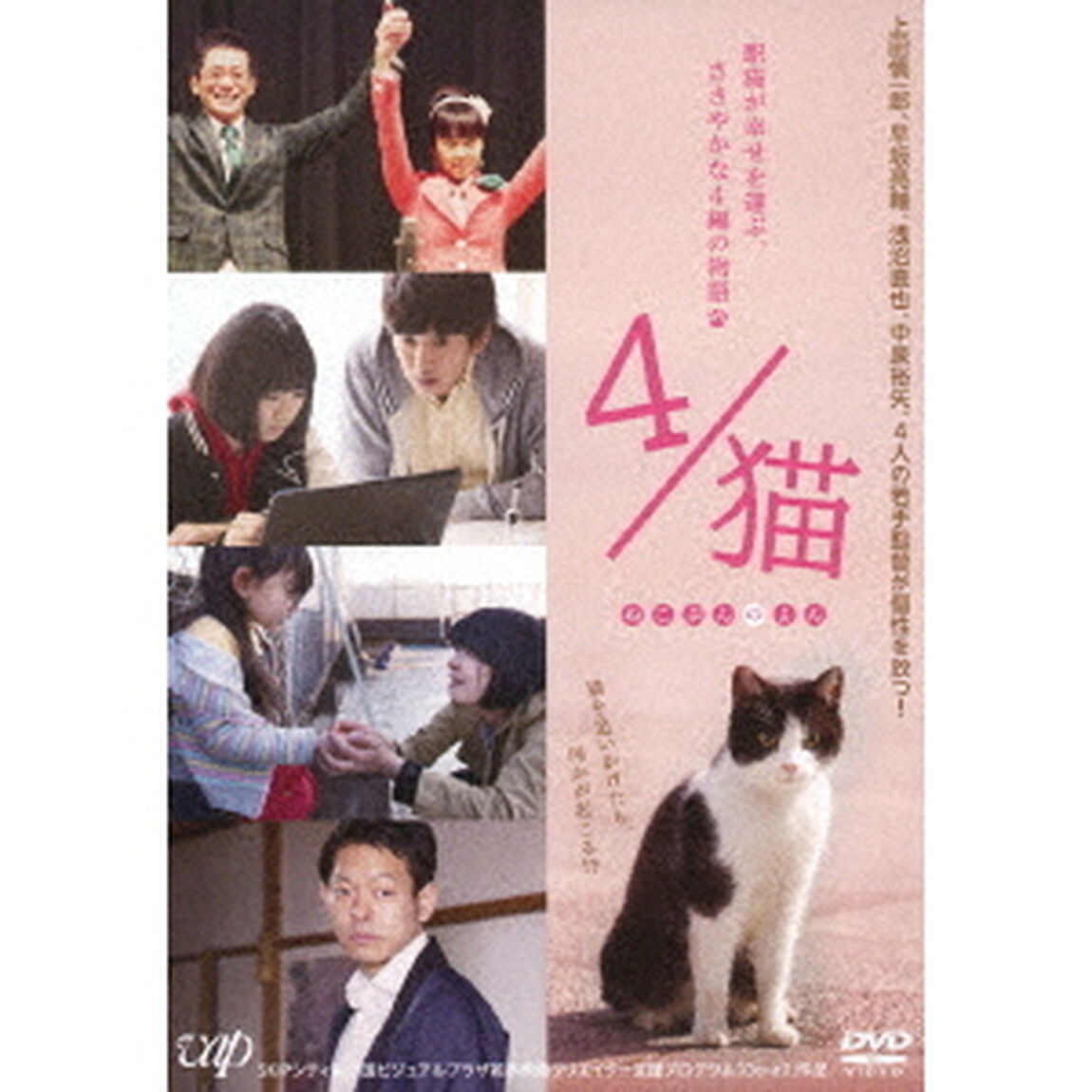 4／猫　ねこぶんのよん（ＤＶＤ）