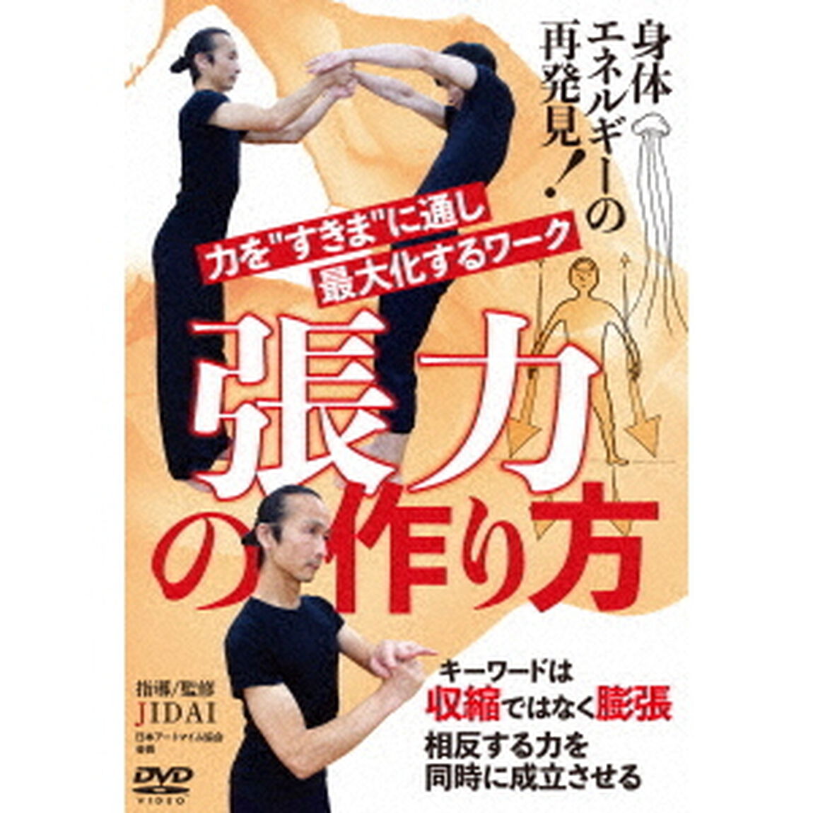 張力の作り方　力を&ldquo;すきま&rdquo;に通し、最大化するワーク（ＤＶＤ）