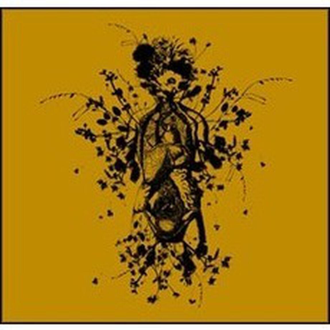 ガゼット／FILM BUG I（ＤＶＤ）