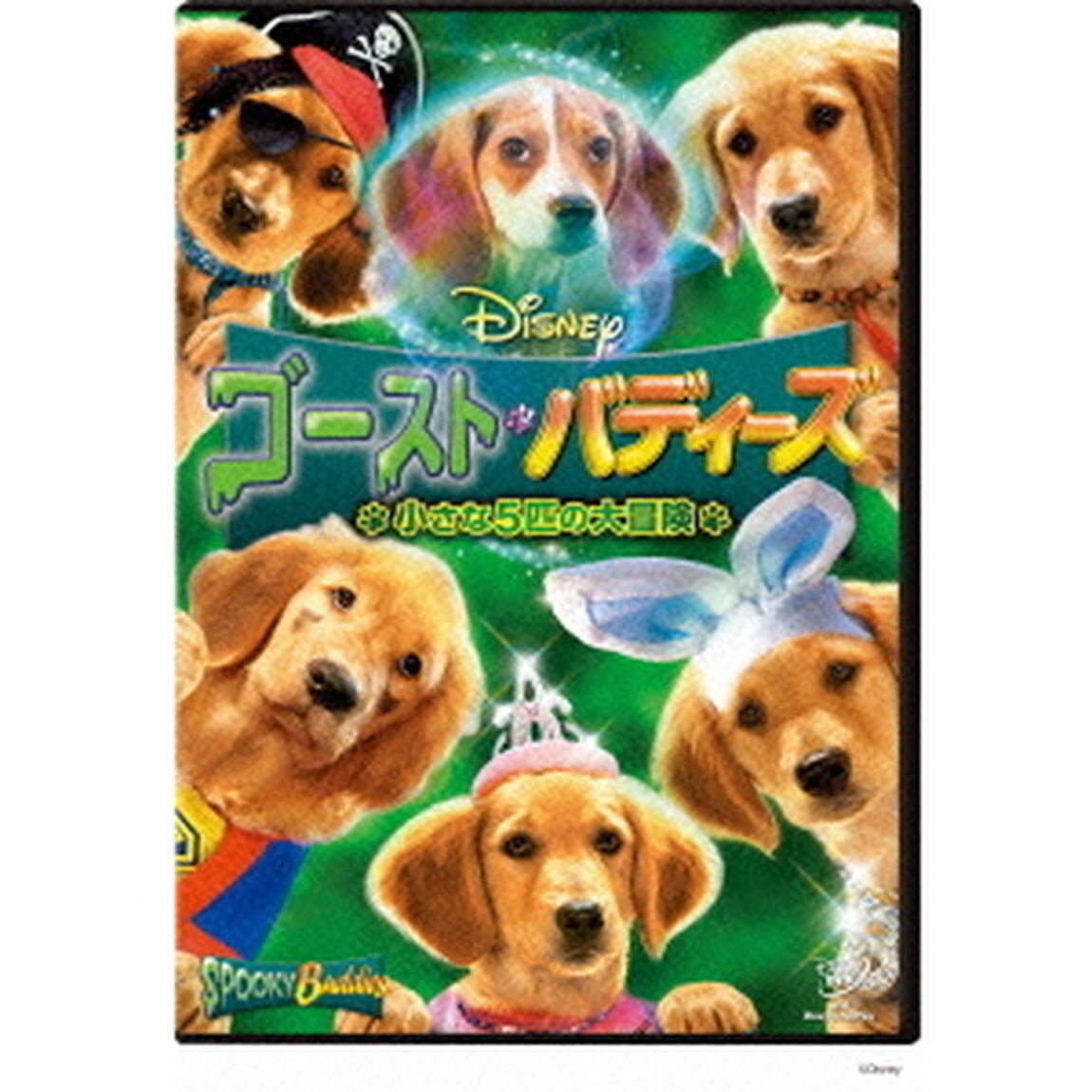 ゴースト・バディーズ／小さな5匹の大冒険（ＤＶＤ）