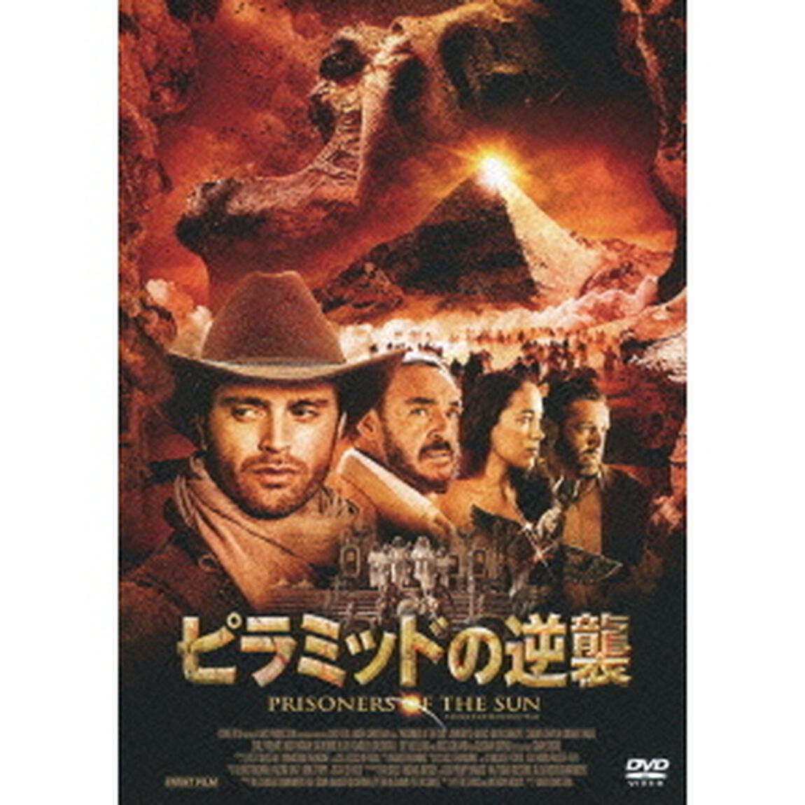 ピラミッドの逆襲（ＤＶＤ）