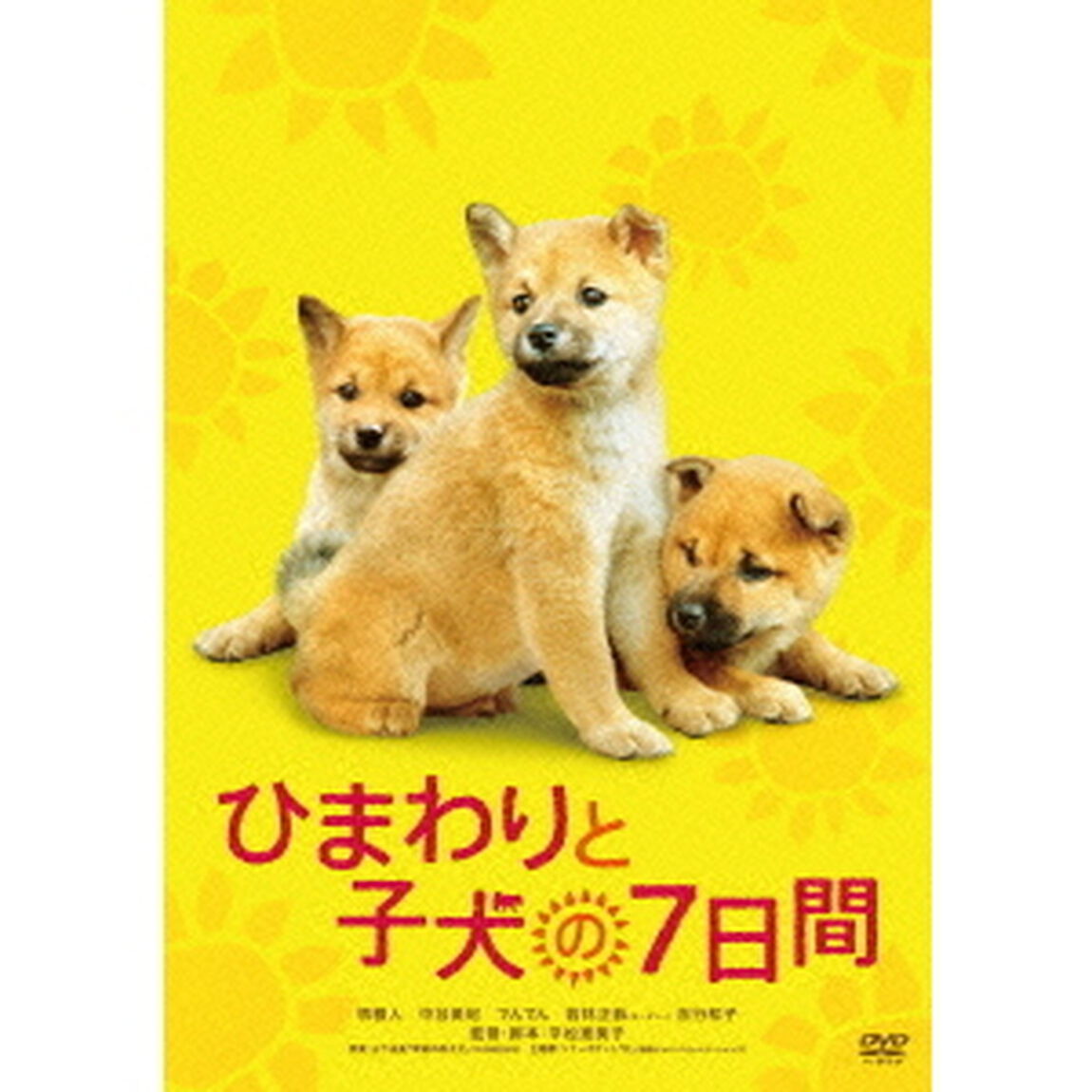 ひまわりと子犬の7日間（ＤＶＤ）