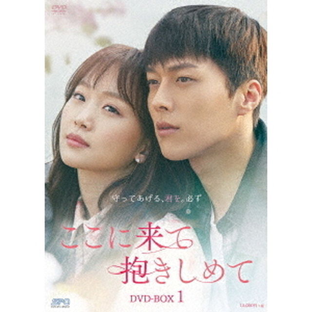 ここに来て抱きしめて　DVD－BOX1（ＤＶＤ）