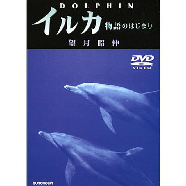 イルカ　物語のはじまり（ＤＶＤ）
