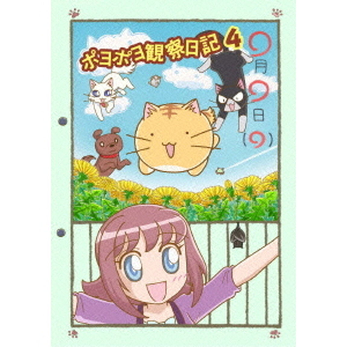 ポヨポヨ観察日記　4（ＤＶＤ）
