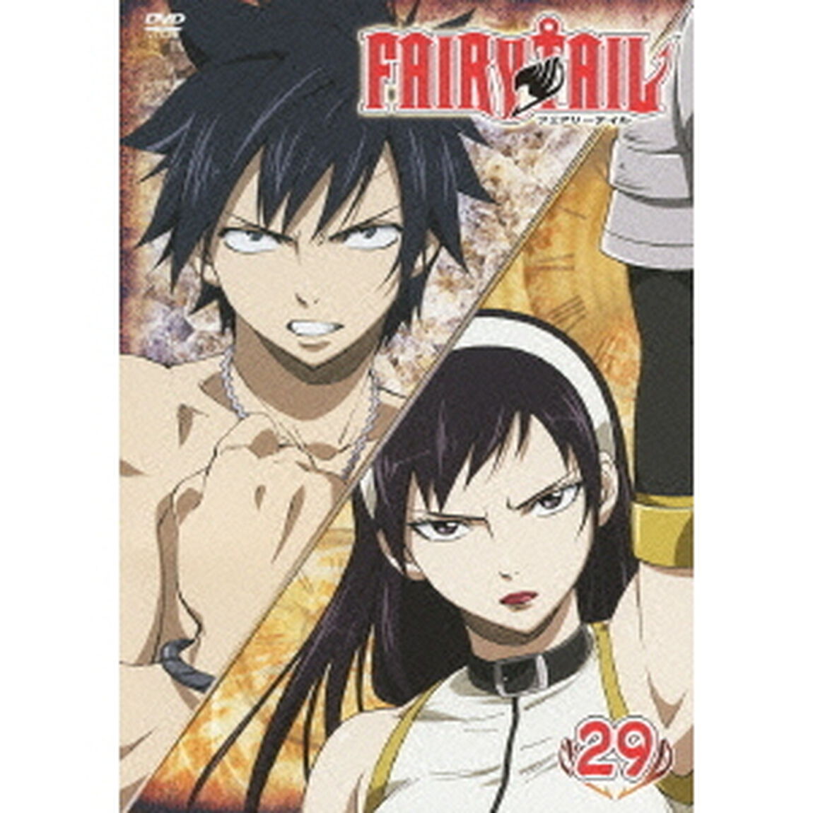 FAIRY TAIL 29（ＤＶＤ）