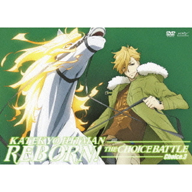 家庭教師ヒットマンREBORN！ 未来チョイス編 【Choice.3】（ＤＶＤ）