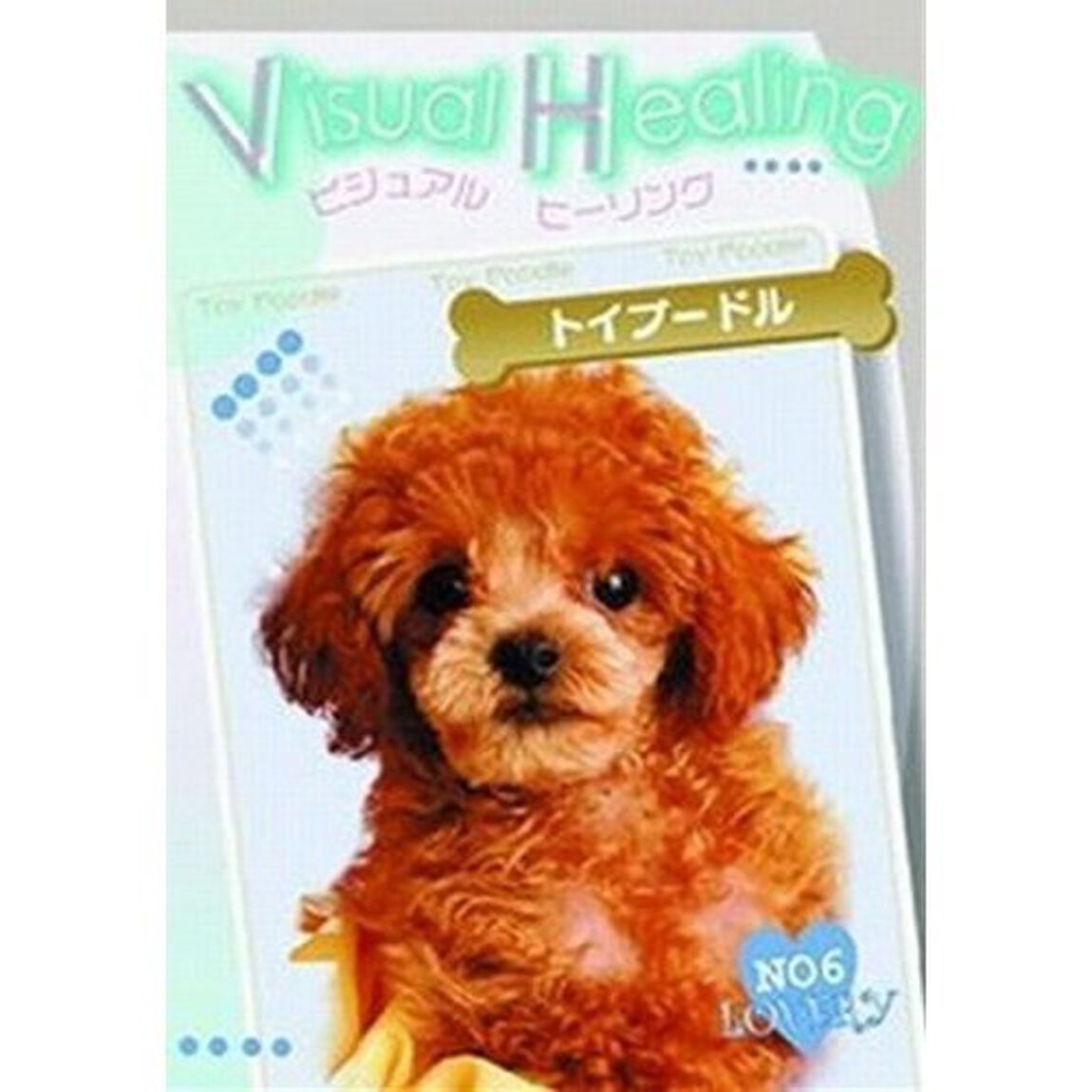 Visual Healing 6 トイプードル（ＤＶＤ）