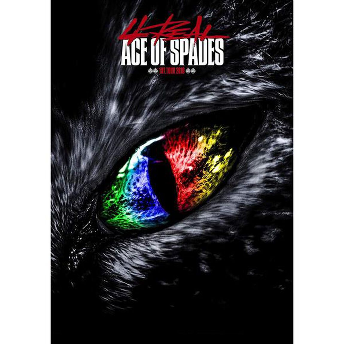 ACE OF SPADES／ACE OF SPADES 1st TOUR 2019 &ldquo;4REAL&rdquo; -Legendary night- 初回生産限定盤（Ｂｌｕ－ｒａｙ Ｄｉｓｃ）（Ｂｌｕ－ｒａｙ　Ｄｉｓｃ）