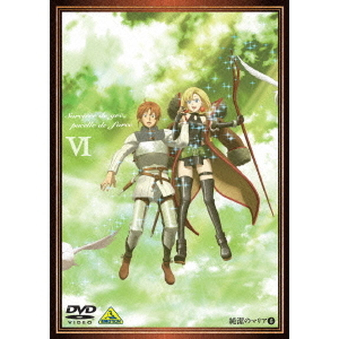 純潔のマリア　Ⅵ（ＤＶＤ）