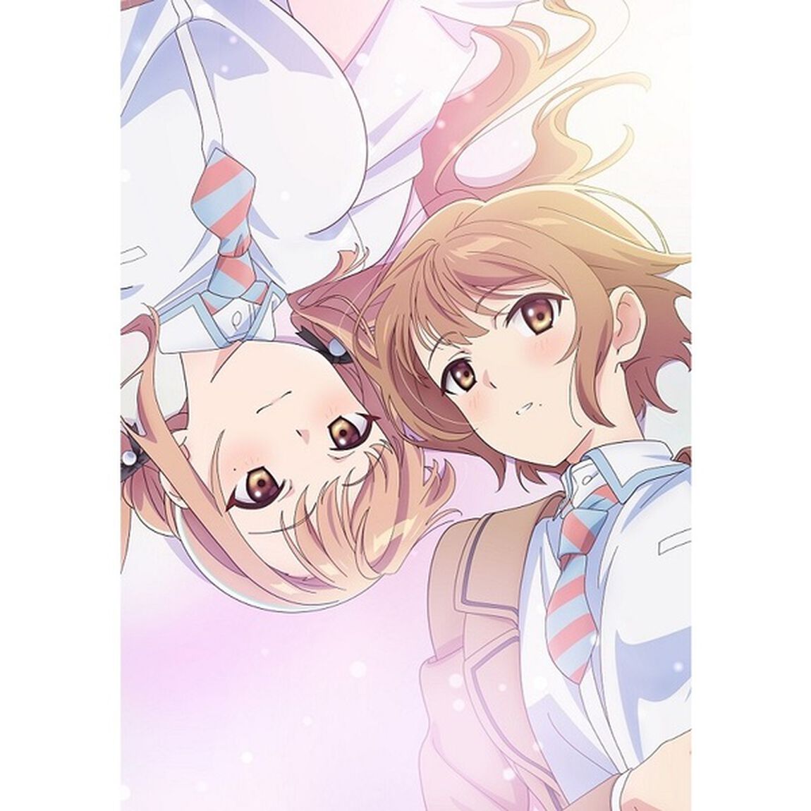 恋は双子で割り切れない　第2巻（Ｂｌｕ－ｒａｙ　Ｄｉｓｃ）
