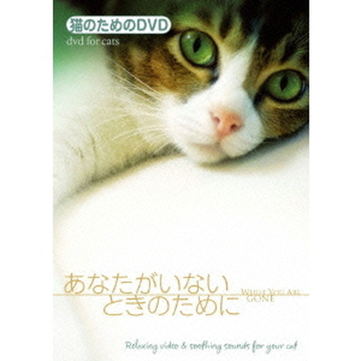 猫のためのDVD／あなたがいないときのために（ＤＶＤ）