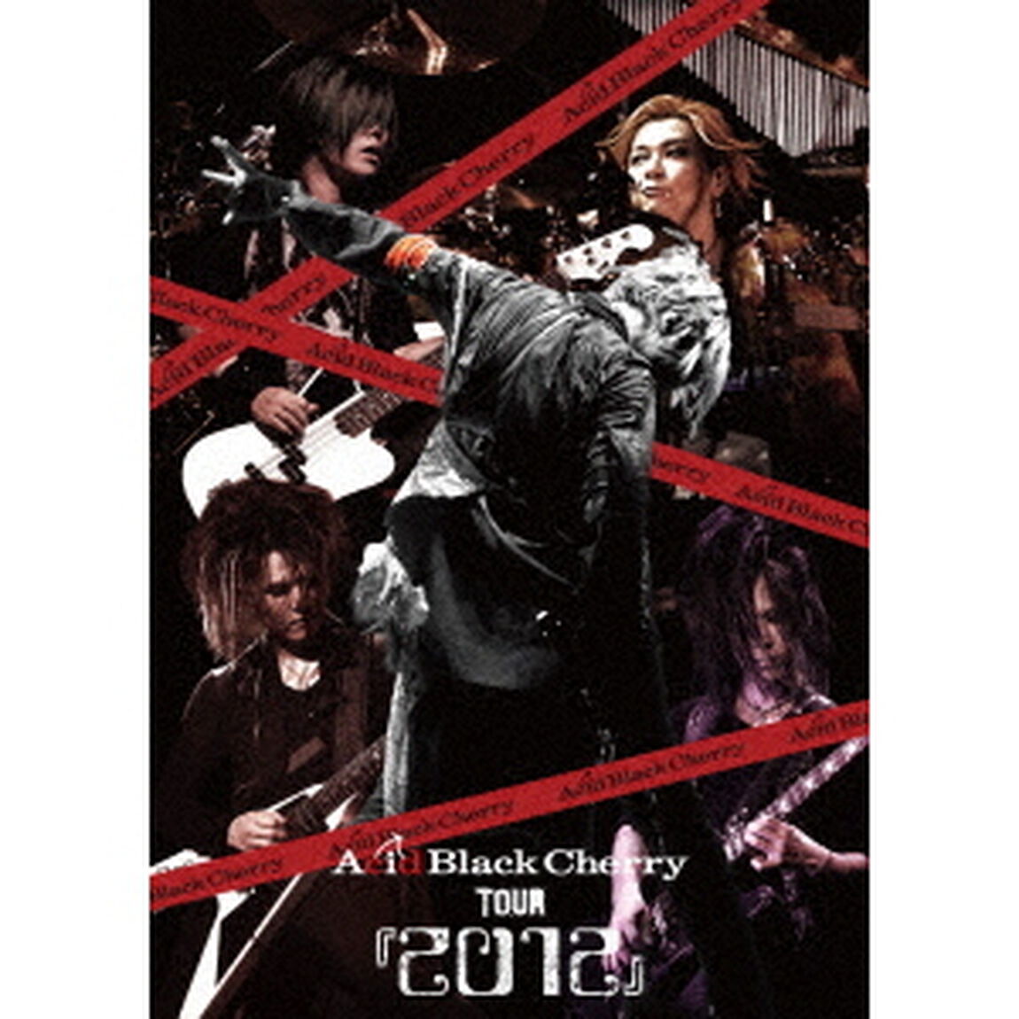 Acid Black Cherry／Acid Black Cherry TOUR『2012』Blu-ray（特典なし）（Ｂｌｕ－ｒａｙ　Ｄｉｓｃ）