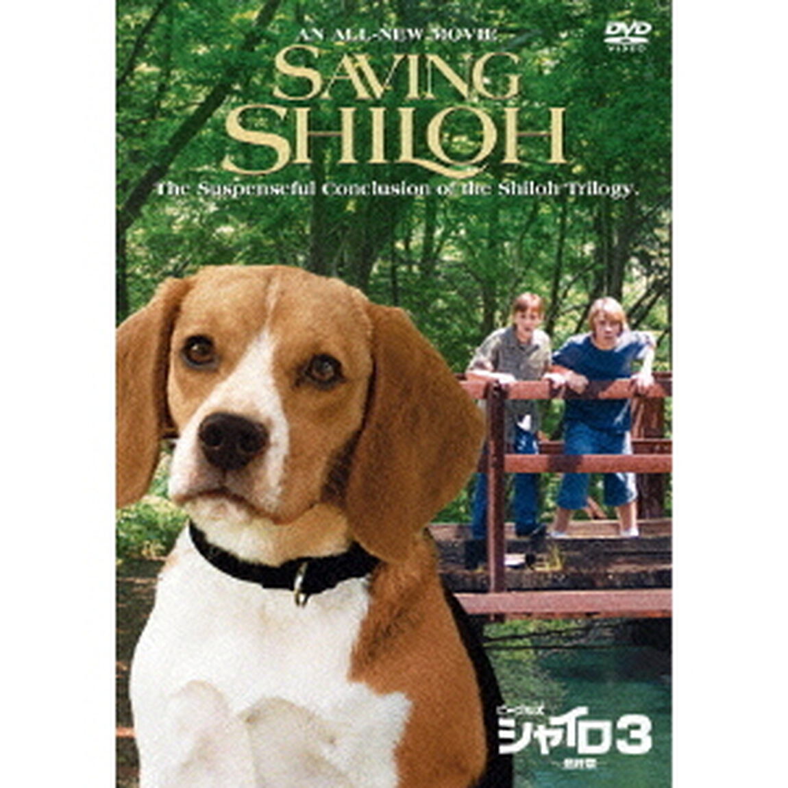 ビーグル犬 シャイロ3 －最終章－ 特別版（ＤＶＤ）