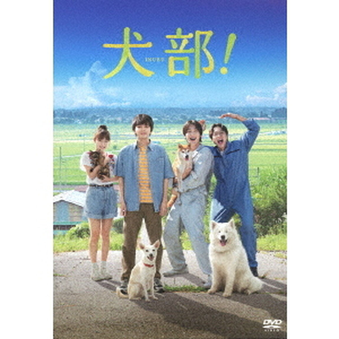 犬部！（ＤＶＤ）