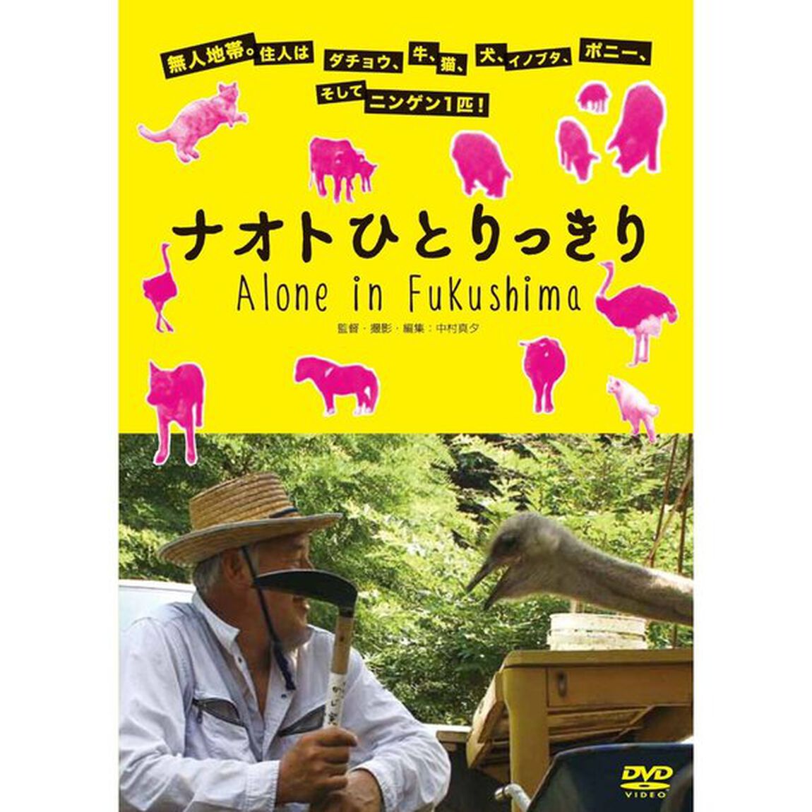 ナオトひとりっきり（ＤＶＤ）