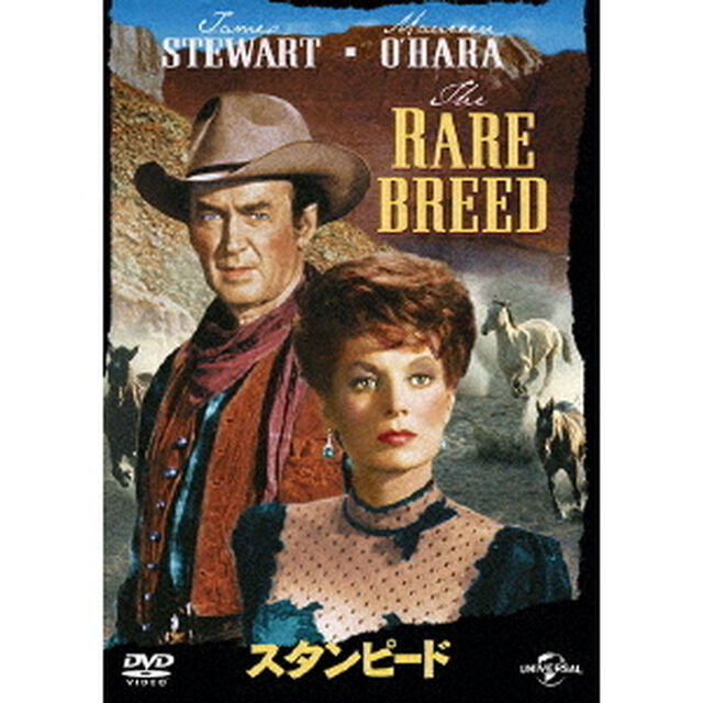 スタンピード（ＤＶＤ）