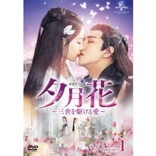夕月花（せきげつか）〜三世を駆ける愛〜　DVD－SET1（ＤＶＤ）