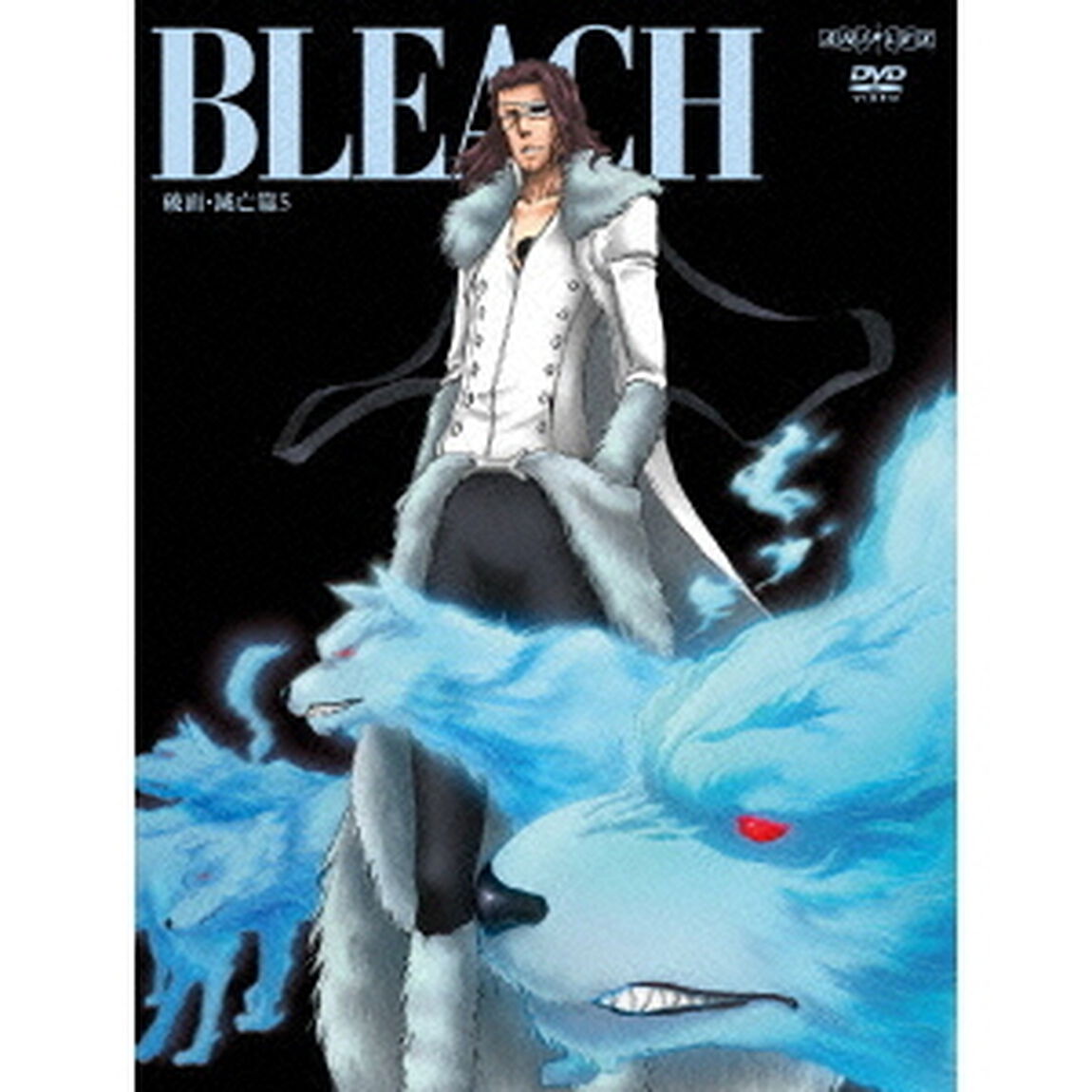 BLEACH ブリーチ 破面・滅亡篇 5（ＤＶＤ）