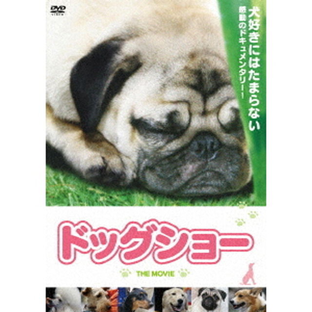 ドッグショー　THE　MOVIE（ＤＶＤ）