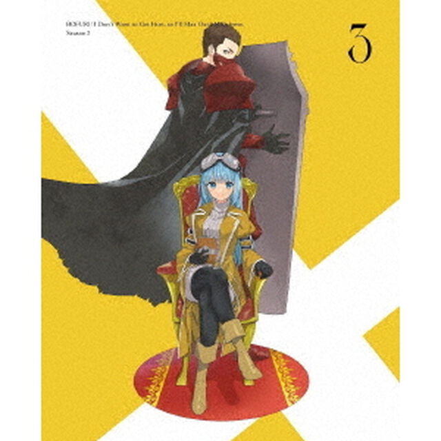 痛いのは嫌なので防御力に極振りしたいと思います。2　第3巻（ＤＶＤ）