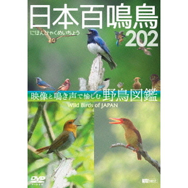 日本百鳴鳥　202　HD／ハイビジョン映像と鳴き声で愉しむ野鳥図鑑　Wild　Birds　of　Japan　HD（ＤＶＤ）
